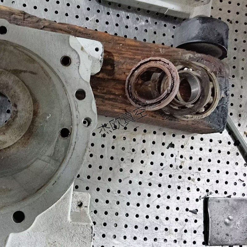 萊寶泵真空泵維修